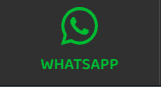 Chamar no WhatsApp Loja do Sapo
